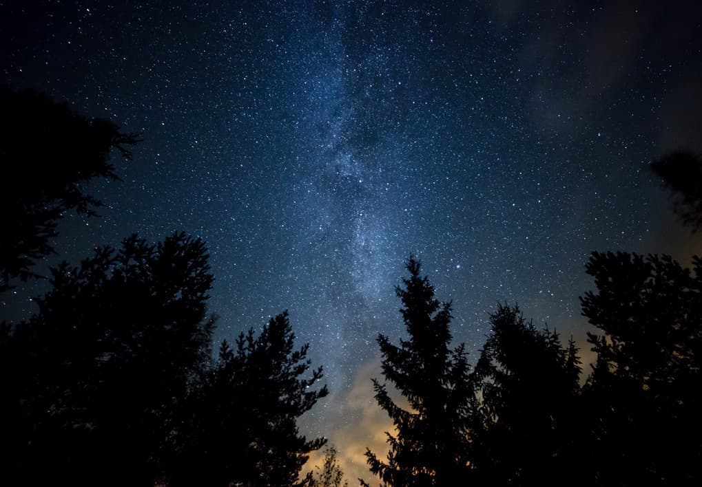 adobestock_71008474.jpg