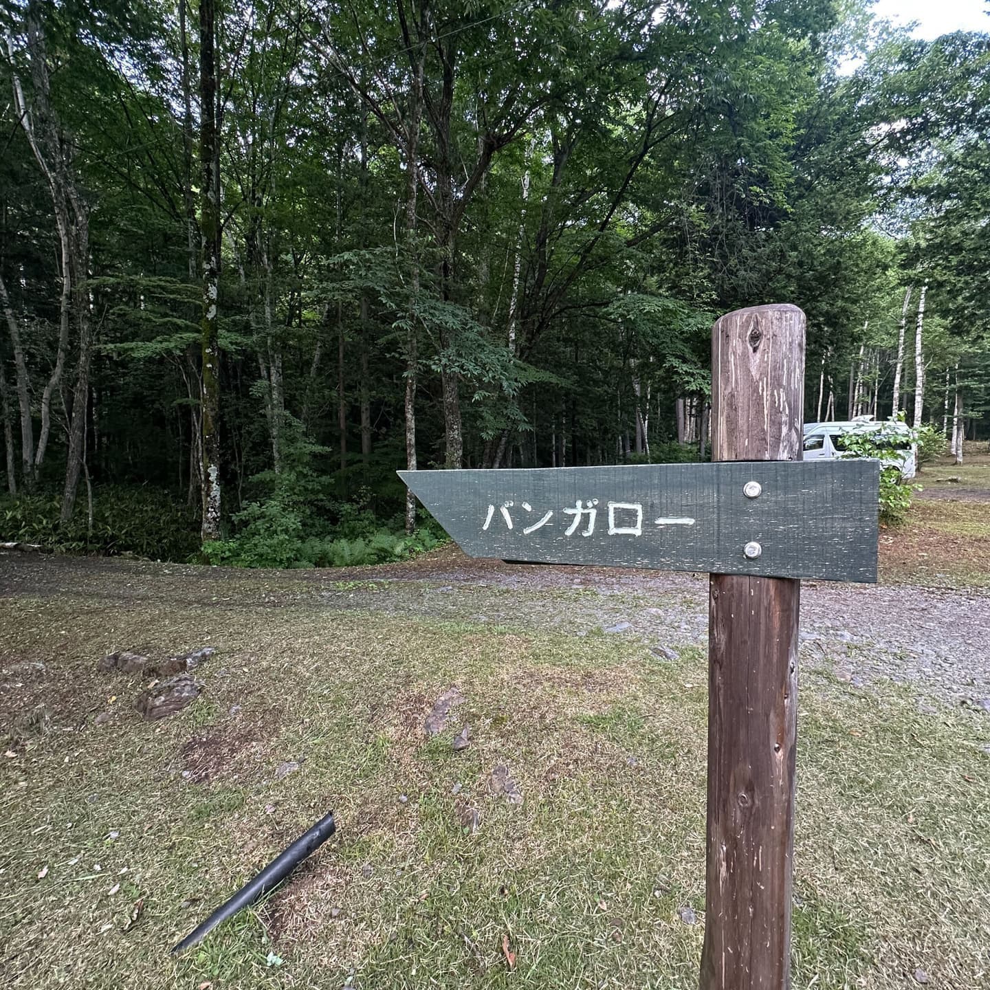 場内の案内サイン