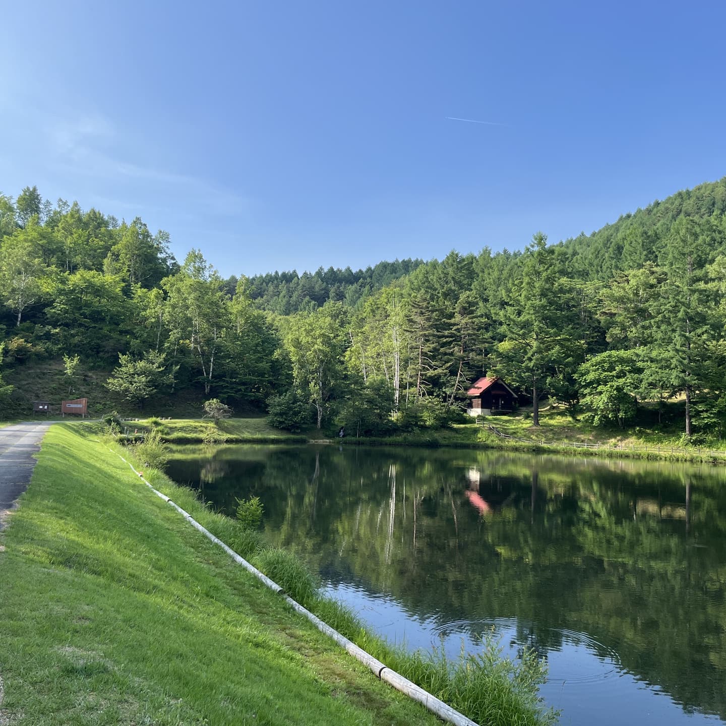 大きな池で魚釣りを楽しむ