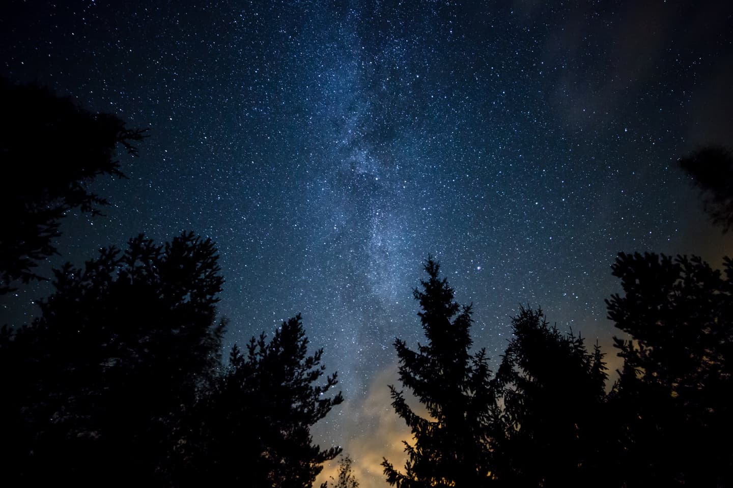 林の間から望む星空