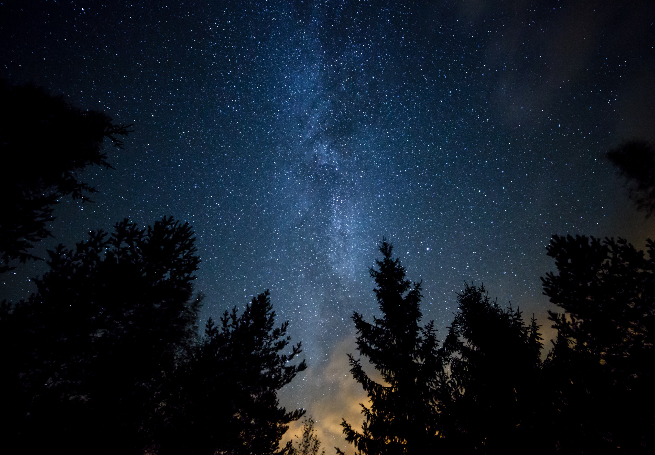 adobestock_71008474.jpg