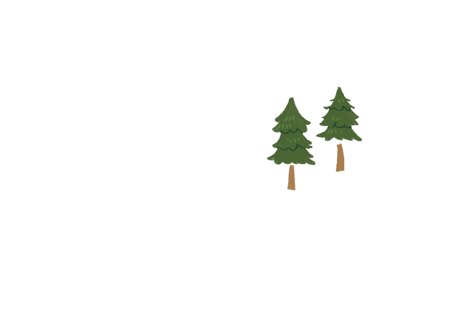 杉の木イラスト
